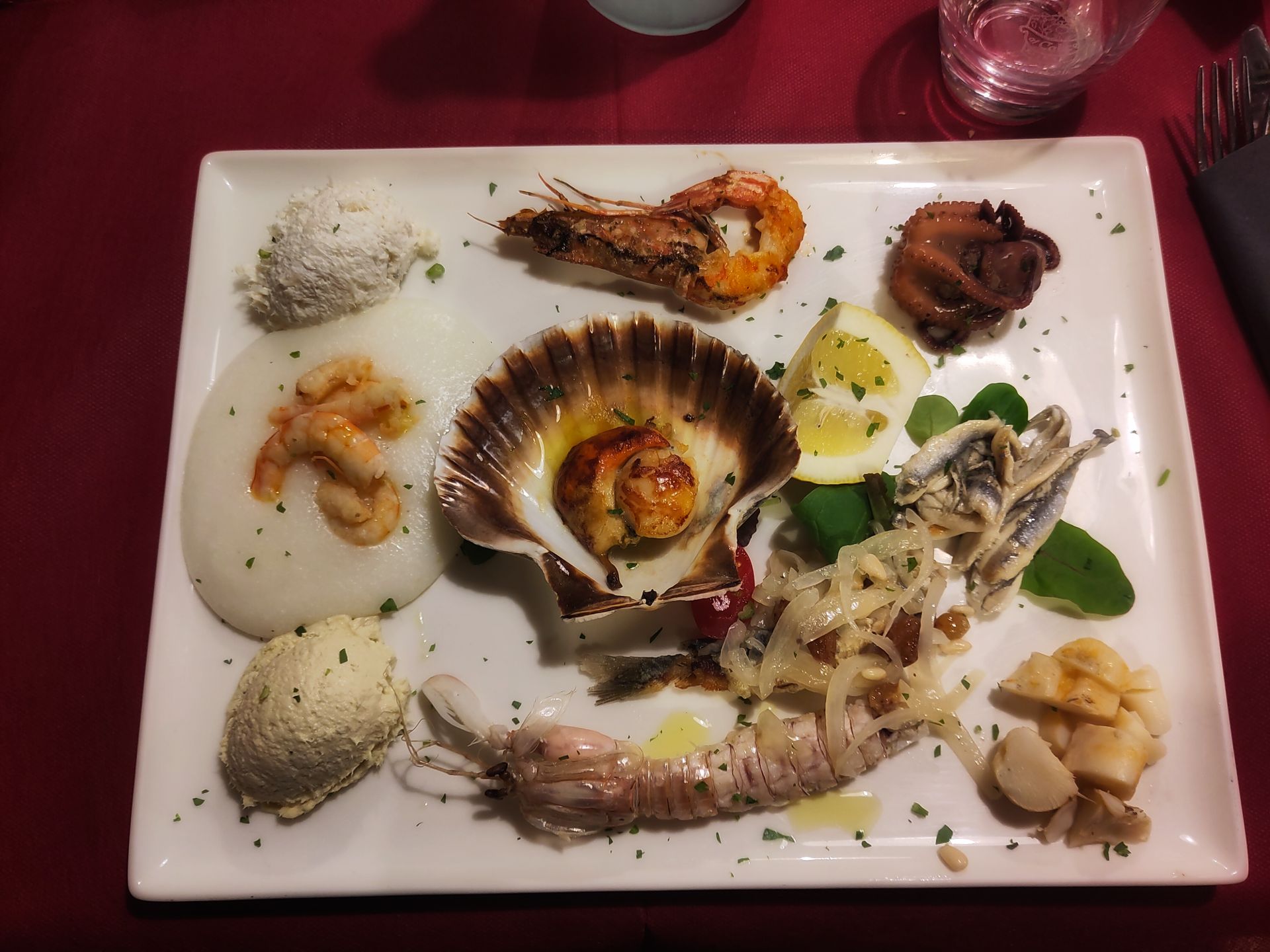 A big plate of fancy seafood.
