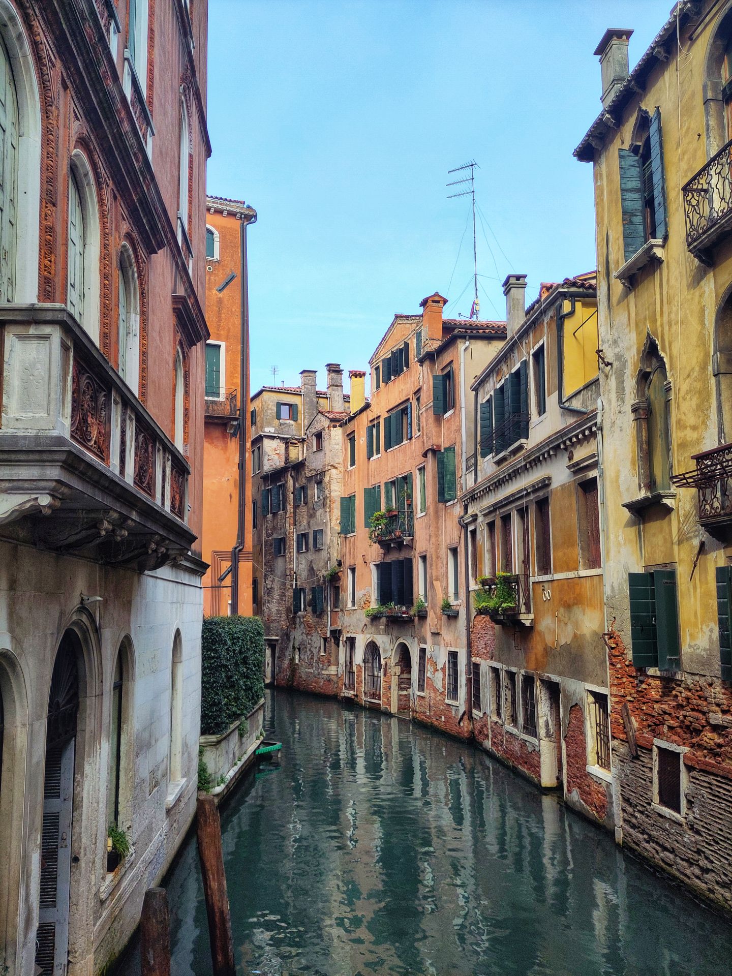 On a sunny day, green-ish water in the canals of Venice, bordered with yellow and orange tinted buildings.